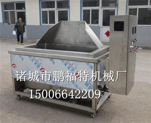 诸城鹏福特,炸香菇油炸机,油炸机